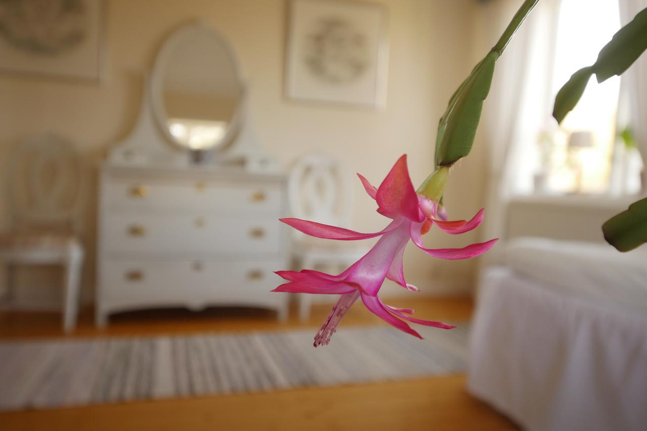 Groena Anaes Bed & Breakfast ostra Loa Екстериор снимка